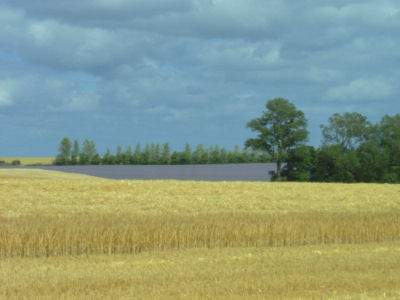 Landschaftsblick auf Zudar