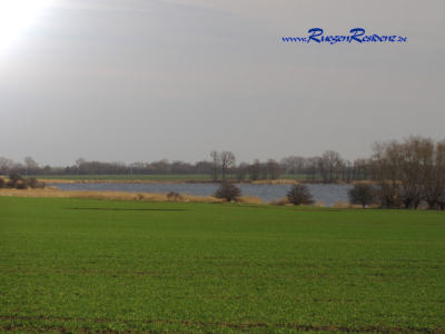 Blick vom Ferienhaus zum Wasser