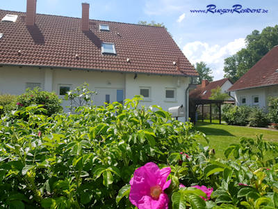Ferienhaus Nr.3 RgenResidenz Losentitz