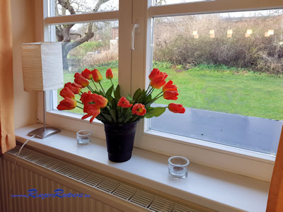 Blick vom Fenster in den Garten
