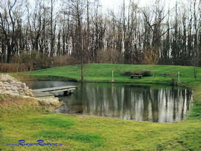 Garten mit Teich