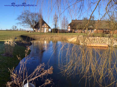 Blick ber den Teich