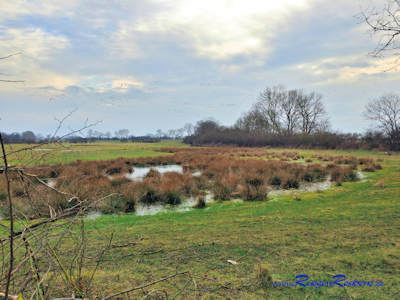 Idyllische Naturlandschaft