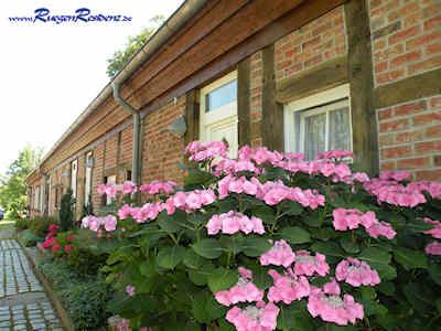 Urlaub im Gutshaus Losentitz/Rgen