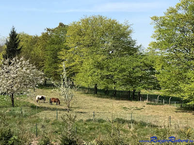 Blick Richtung Westen