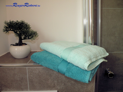 Bad im EG mit Dusche