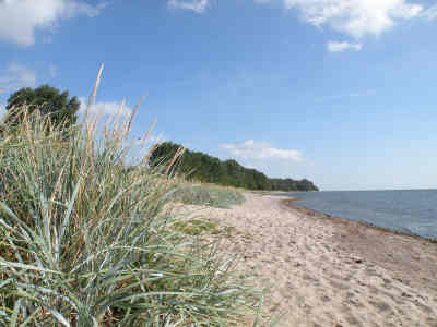 Ein Strand auf Zudar / Sd-Rgen
