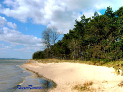 Naturstrand Palmer Ort