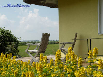 Blick von der Terrasse Reetdachhaus Silmenitz