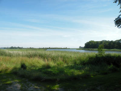 Blick von unserem Bootssteg zum Naturschutzgebiet Tollow