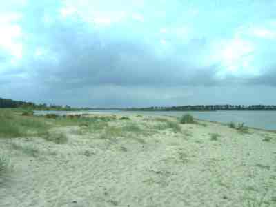 Strand Zicker auf Zudar
